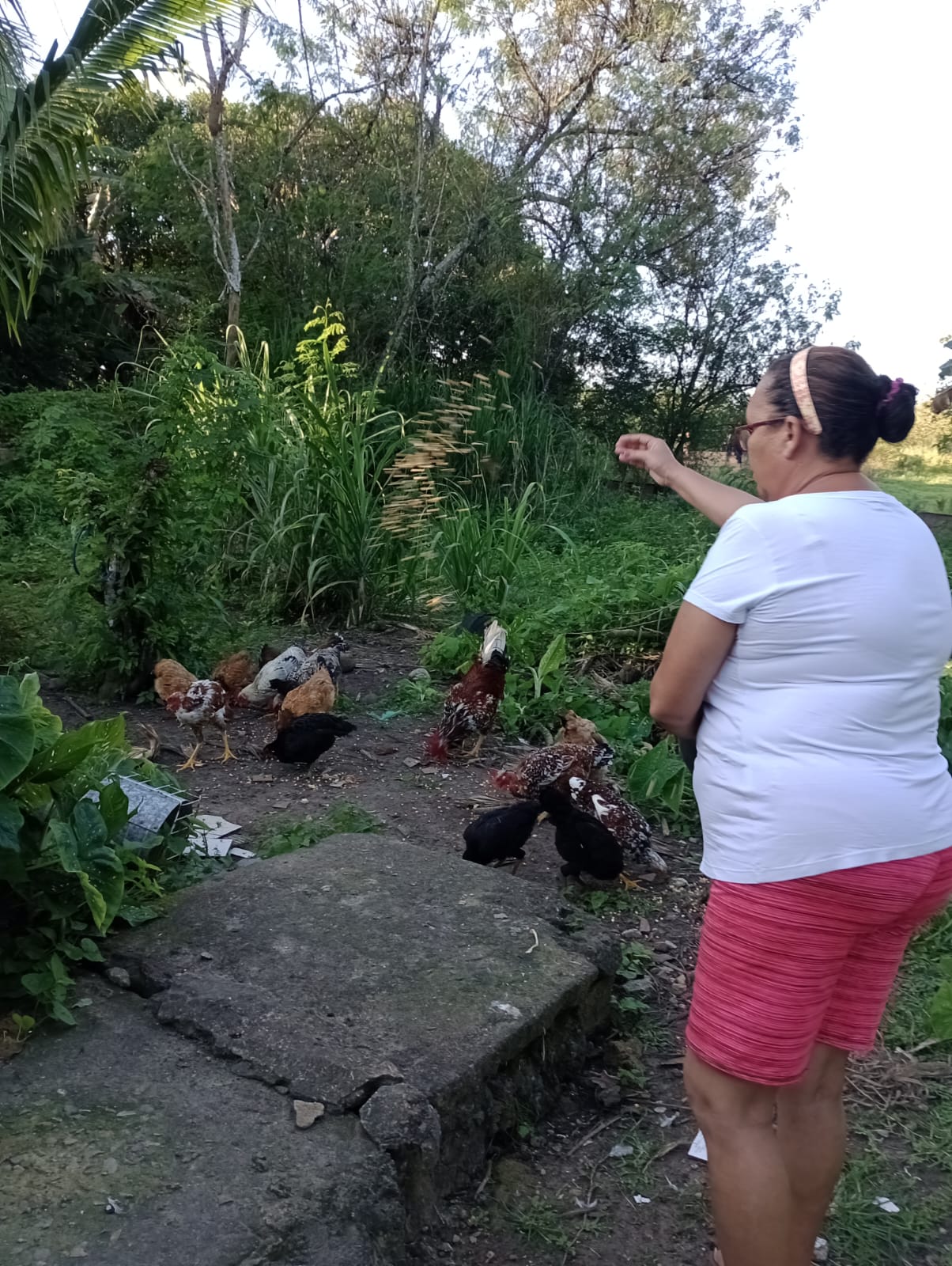 Construção conjunta de conhecimento em propriedade rural